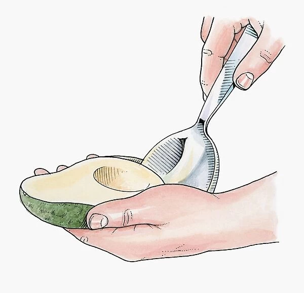 Illustration of using large spoon to remove avocado flesh from skin