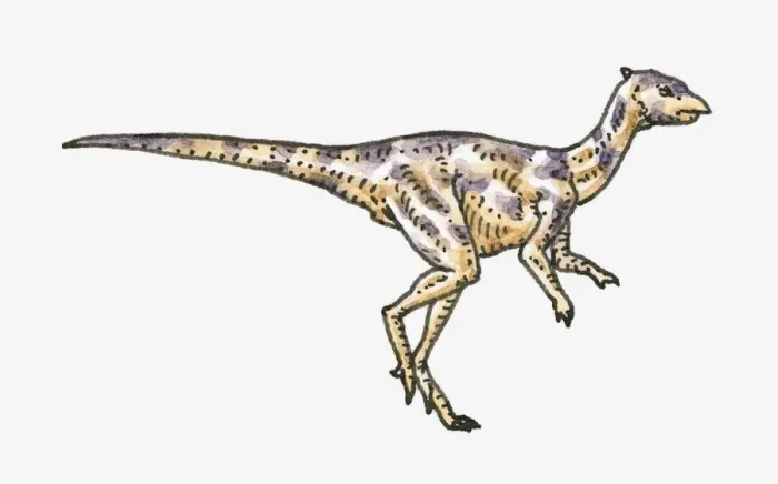 Framed Print : Illustration of Wannanosaurus basal pachycephalosaurian dinosaur Framed Print : Illustration of Wannanosaurus basal pachycephalosaurian dinosaur