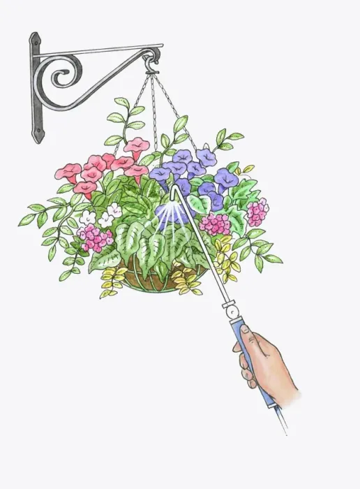 Framed Print : Illustration of watering hanging basket using watering wand