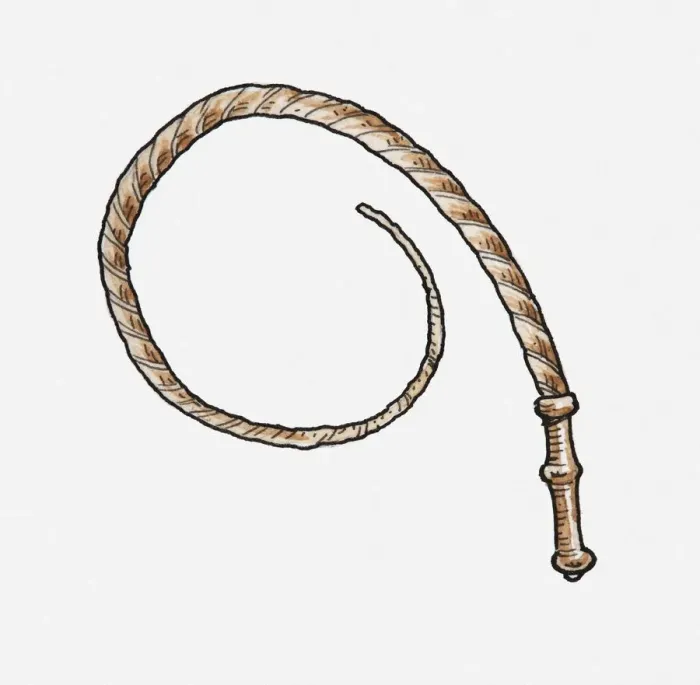 Framed Print : Illustration of a whip Framed Print : Illustration of a whip