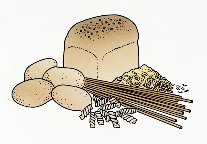 Framed Print : Illustration of wholemeal bread, pasta, grain, and raw potatoes Framed Print : Illustration of wholemeal bread, pasta, grain, and raw potatoes
