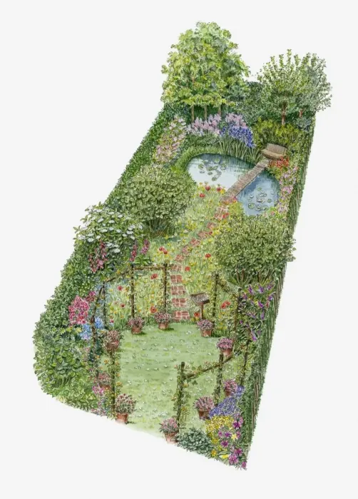Framed Print : Illustration of wildflower garden, with trees and shrubs and a pond Framed Print : Illustration of wildflower garden, with trees and shrubs and a pond