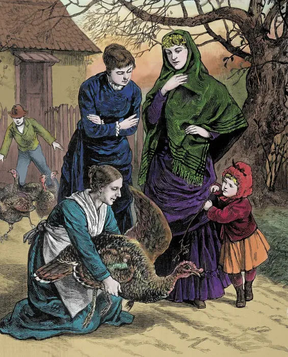 Framed Print : Illustration of Women Selecting a Thanksgiving Turkey