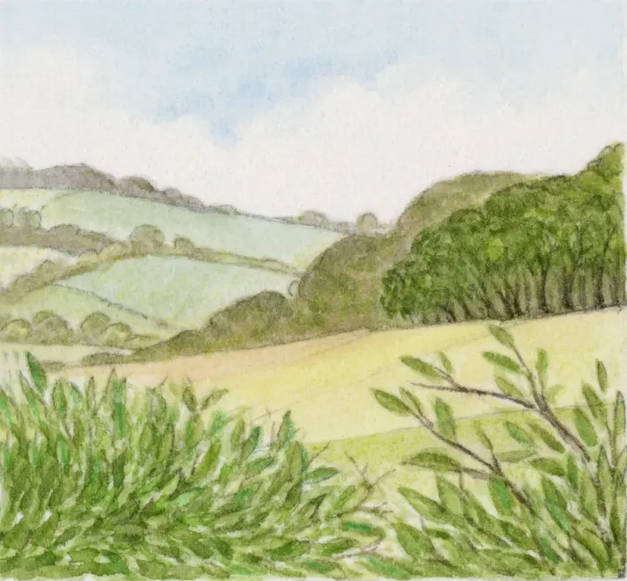 Framed Print : Illustration of wood at edge of countryside Framed Print : Illustration of wood at edge of countryside