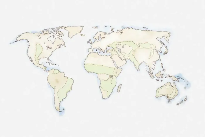 Framed Print : Illustration of world map Framed Print : Illustration of world map