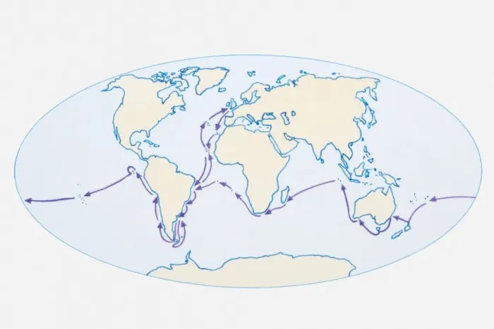 Framed Print : Illustration of world map showing route of Darwins HMS Beagle in purple Framed Print : Illustration of world map showing route of Darwins HMS Beagle in purple