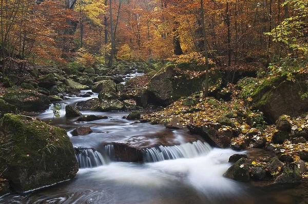 Ilse brook in autumn, rapids, Ilsetal valley, Harz region, Saxony-Anhalt, Germany, Europe