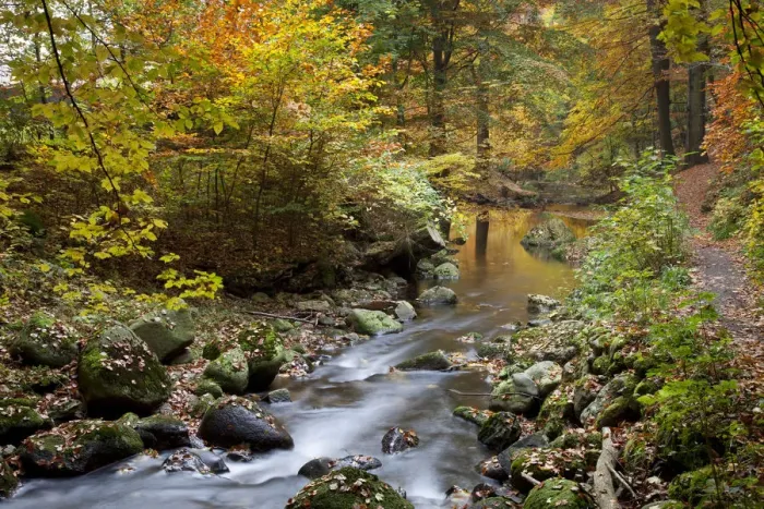 Framed Print : Ilse River in Ilsetal valley in autumn, Harz, Nationalpark Hochharz, Saxony-Anhalt, Germany Framed Print : Ilse River in Ilsetal valley in autumn, Harz, Nationalpark Hochharz, Saxony-Anhalt, Germany