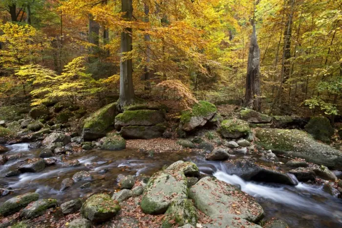 Framed Print : Ilse River in Ilsetal valley in autumn, Harz, Nationalpark Hochharz, Saxony-Anhalt, Germany Framed Print : Ilse River in Ilsetal valley in autumn, Harz, Nationalpark Hochharz, Saxony-Anhalt, Germany