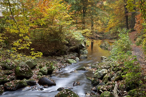 Ilse River in Ilsetal valley in autumn, Harz, Nationalpark Hochharz, Saxony-Anhalt, Germany