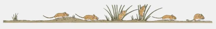 Framed Print : Image sequence illustration of field mice in search of food Framed Print : Image sequence illustration of field mice in search of food