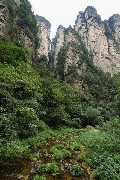 Impressive mountain needles in Zhangjiajie national park