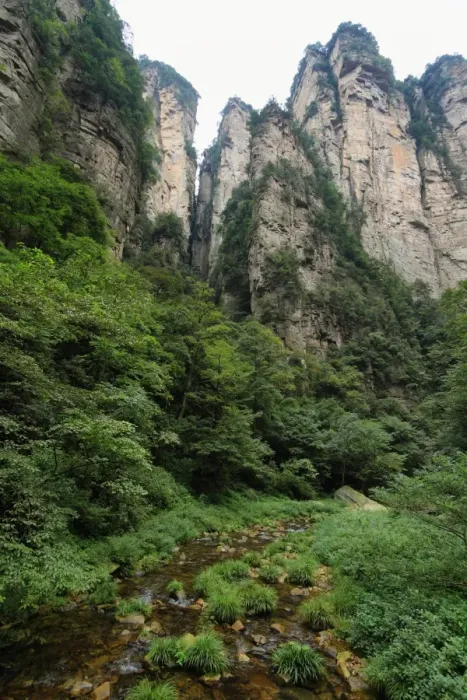 Framed Print : Impressive mountain needles in Zhangjiajie national park Framed Print : Impressive mountain needles in Zhangjiajie national park