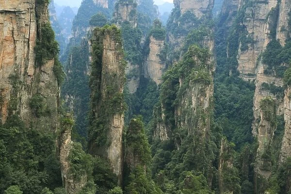 Impressive sandstone pillars in Yuangjiajie area
