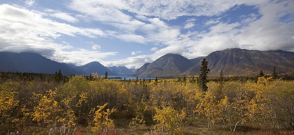 Indian Summer, fall colours, autumn, Kathleen Lake, St. Elias Mountains, Kluane National Park and Reserve, Yukon Territory, Canada