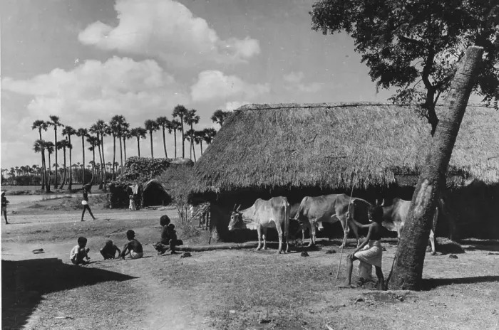 Framed Print : Indian Village Framed Print : Indian Village