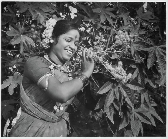 Framed Print : India. An Indian woman in traditional dress, carrying fruit picket Framed Print : India. An Indian woman in traditional dress, carrying fruit picket