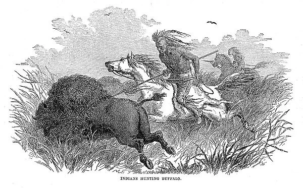 Indians hunting buffaloes 1867