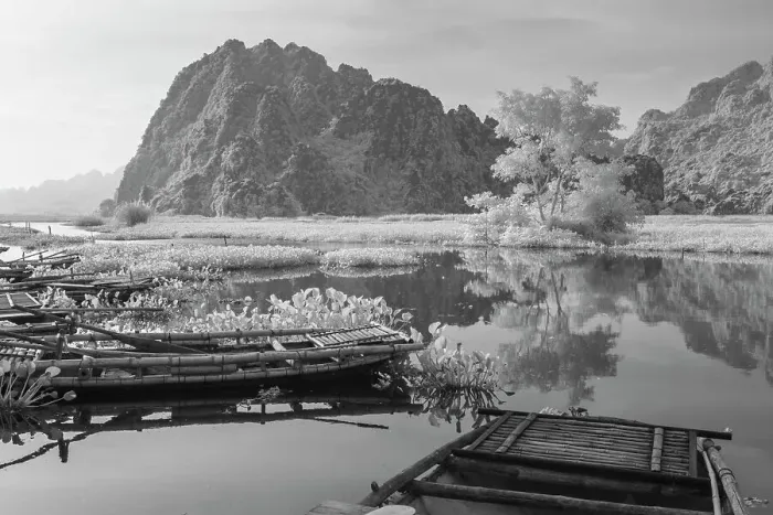 Framed Print : An infrared image of traditional bamboo boats on the waterways of Ninh Binh in Vietnam Framed Print : An infrared image of traditional bamboo boats on the waterways of Ninh Binh in Vietnam