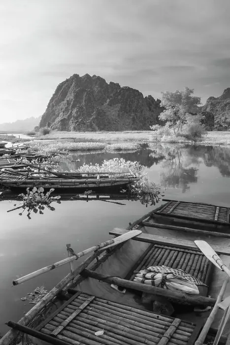 Framed Print : An infrared image of traditional bamboo boats on the waterways of Ninh Binh in Vietnam Framed Print : An infrared image of traditional bamboo boats on the waterways of Ninh Binh in Vietnam