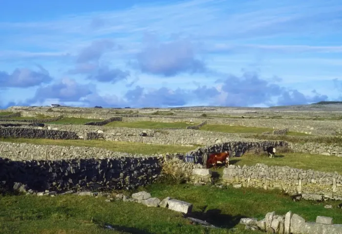 Framed Print : Inishmore, Aran Islands, County Galway, Ireland