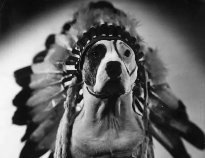 Framed Print : Injun Pete Framed Print : Injun Pete