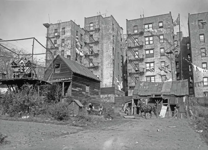 Framed Print : Inner City Farmer, Bronx