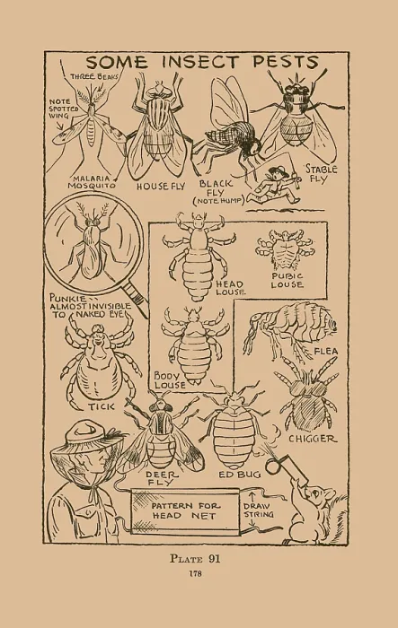 Framed Print : Some Insect Pests Framed Print : Some Insect Pests