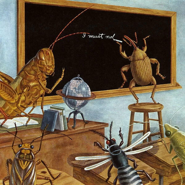 Insect School