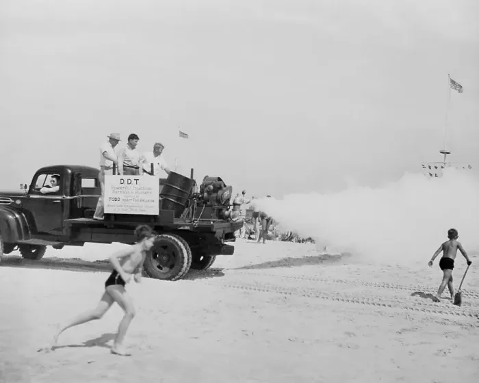 Framed Print : Insecticidal Fog Being Sprayed at Beach Framed Print : Insecticidal Fog Being Sprayed at Beach
