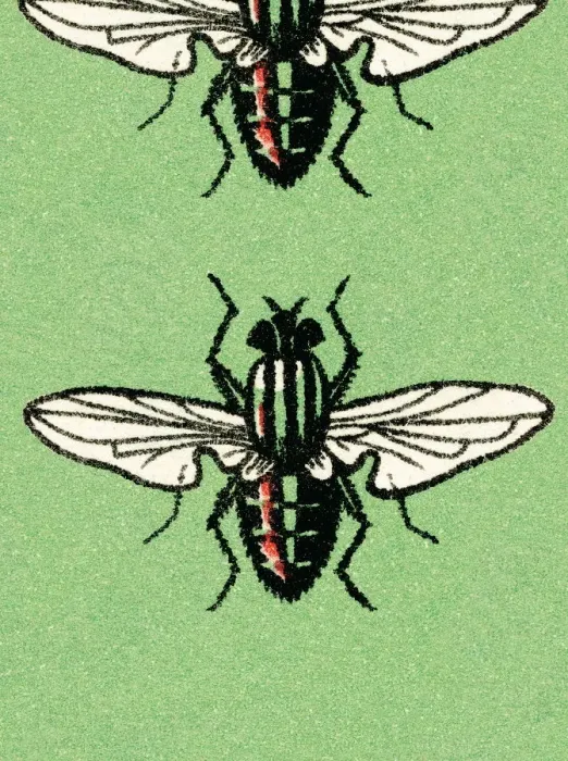 Framed Print : Insects. http: / / csaimages.com / images / istockprofile / csa_vector_dsp.jpg Framed Print : Insects. http: / / csaimages.com / images / istockprofile / csa_vector_dsp.jpg