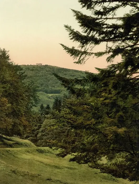 Framed Print : The Inselsberg, in Thuringia, Germany, Historic, digitally restored reproduction of a photochrome print from the 1890s Framed Print : The Inselsberg, in Thuringia, Germany, Historic, digitally restored reproduction of a photochrome print from the 1890s