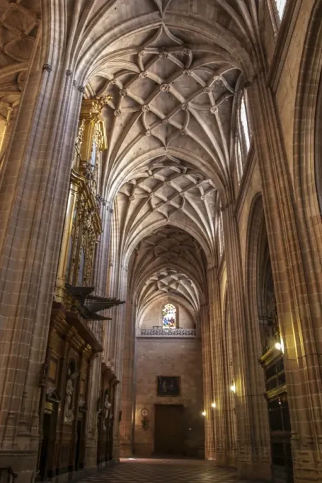 Framed Print : Inside of the Cathedral of Segovia, ceiling detail Framed Print : Inside of the Cathedral of Segovia, ceiling detail