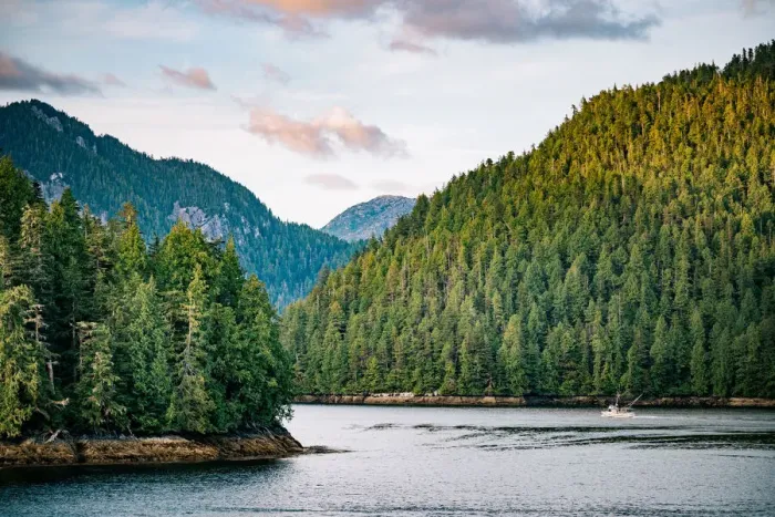 Framed Print : Inside Passage fjords and forest, British Columbia, Canada Framed Print : Inside Passage fjords and forest, British Columbia, Canada