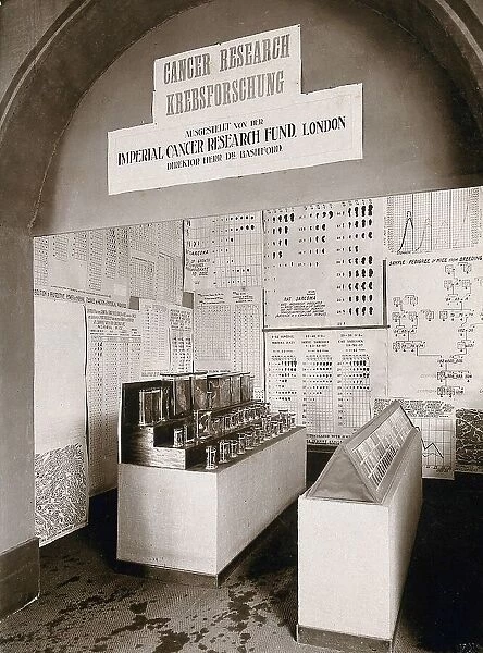 International Hygiene Exhibition, Dresden, 1911, the Imperial Cancer Research Fund, London, exhibition with laboratory samples and diagrams. Photograph by Martin Herzfeld in 1911, Saxony, Germany, Historic