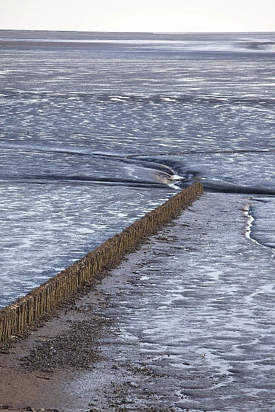 Intertidal mudflats, north beach, Husum, North Friesland, Schleswig-Holstein, Germany, Europe