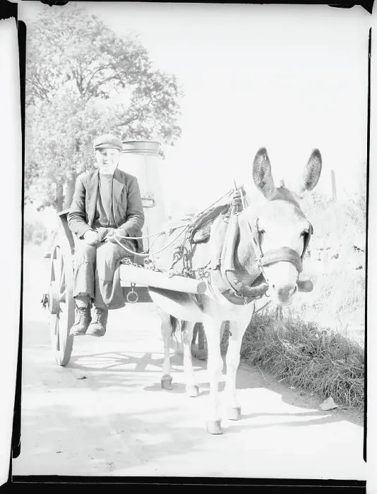 Framed Print : Irish Boy Driving a Milk Cart Framed Print : Irish Boy Driving a Milk Cart