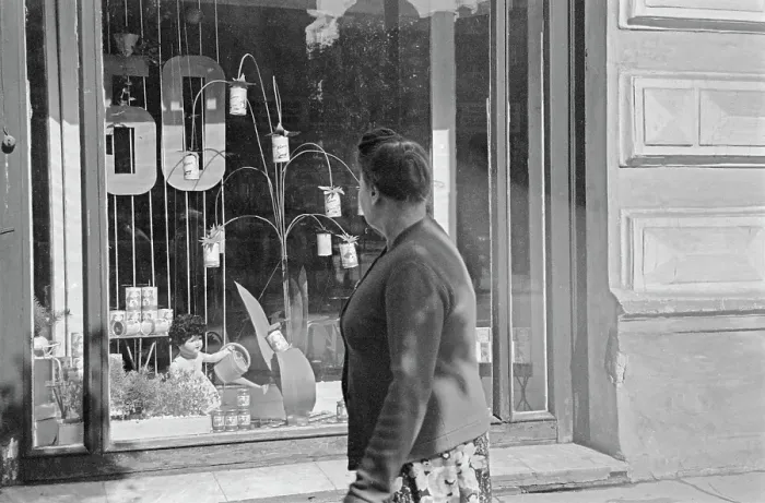 Framed Print : Irkutsk Shop Framed Print : Irkutsk Shop
