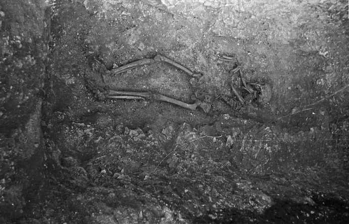 Framed Print : Iron Age Skeleton