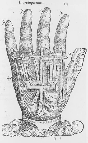 Iron Hand. An Illustration of an Iron Hand circa 1564. (Photo by Fotosearch / Getty Images)