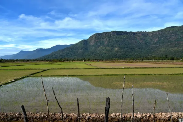 Framed Print : Irrigated Paddy field Champasak Laos