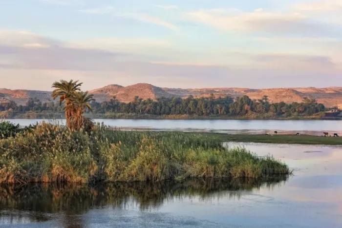 Framed Print : Island in the Nile in the morning light, Egypt, Africa Framed Print : Island in the Nile in the morning light, Egypt, Africa