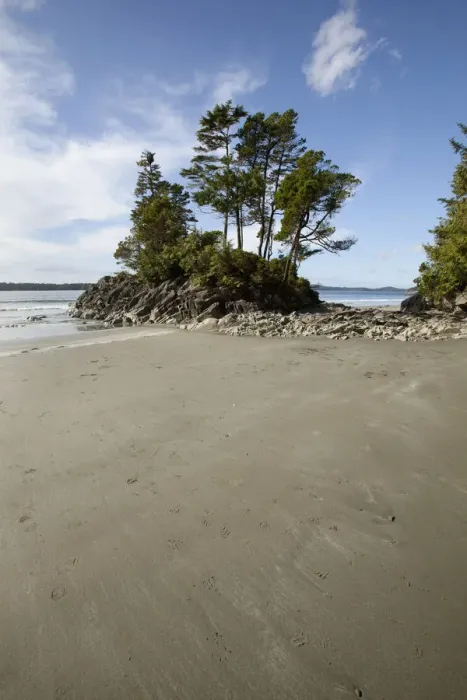 Framed Print : An Island At Tonquin Beach Along The Lighthouse Trail; Tofino British Columbia Canada