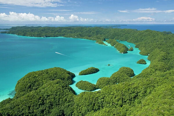 Islands of Palau, Micronesia, Pacific