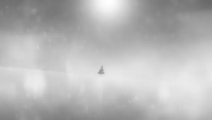 Framed Print : Isolated tree in the snow Framed Print : Isolated tree in the snow