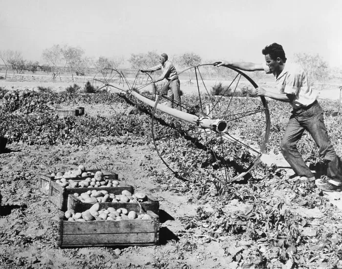 Framed Print : Israelis Irrigating Land