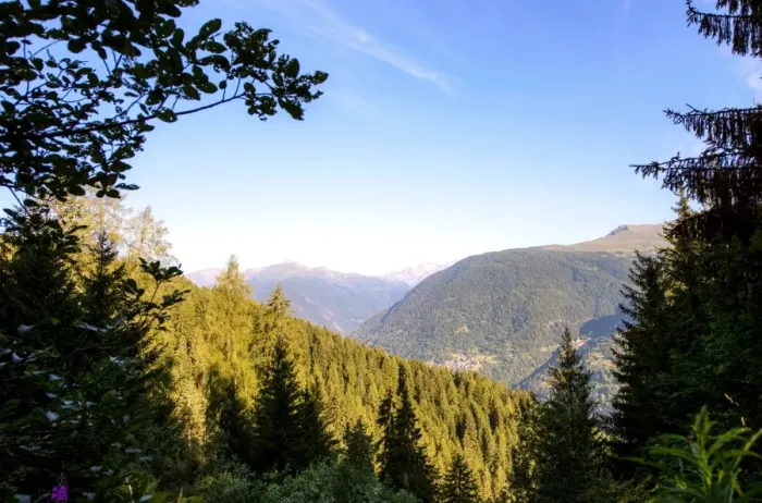 Framed Print : Italy, Val di Sole view from a forest