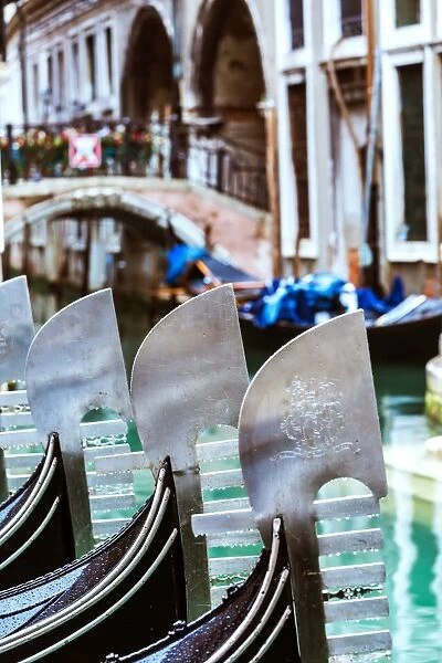 Italy, Veneto, Venice. Row of Gondolas moored