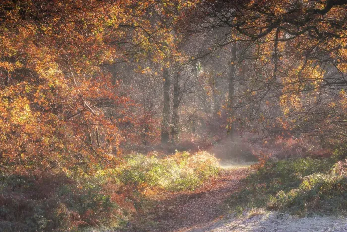Framed Print : Ivinghoe in the Fall Framed Print : Ivinghoe in the Fall