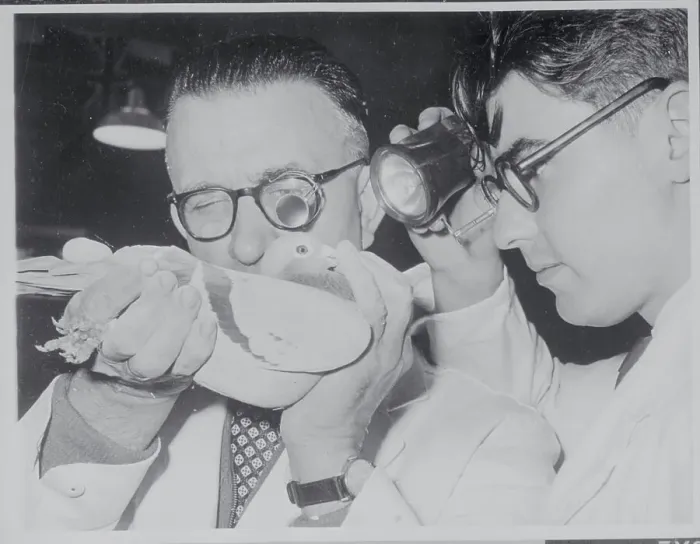 Framed Print : Jack Humphrey and Assistant Framed Print : Jack Humphrey and Assistant